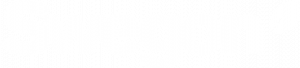 Swegon logo white version